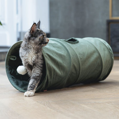 Designed by Lotte Katzentunnel CYLLA - 25 x 65 cm - Samt - Spielspaß für Katzen