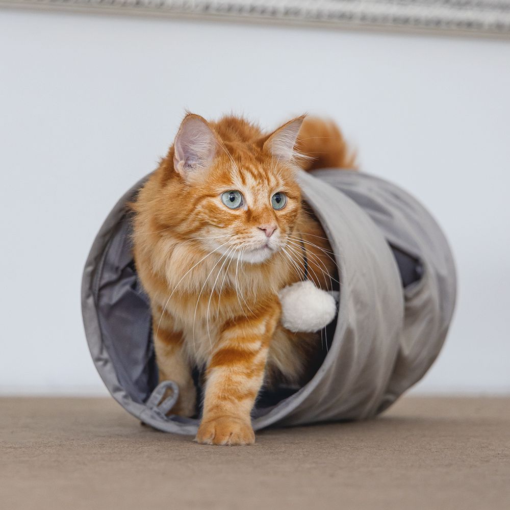 Designed by Lotte Katzentunnel CYLLA - 25 x 65 cm - Samt - Spielspaß für Katzen