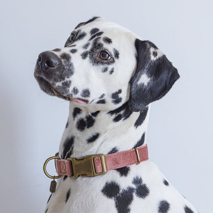 Designed by Lotte Halsband VELURA - XS/S/M/L - grau/grün/rosa - Hundehalsband