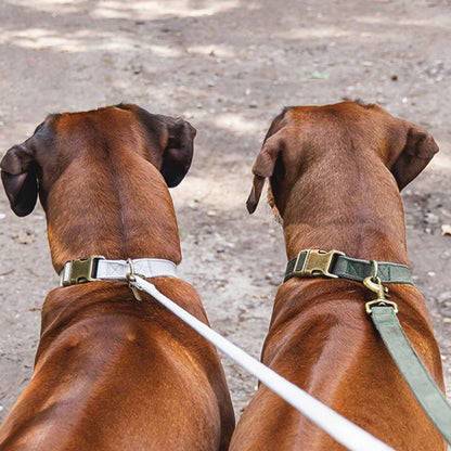 Designed by Lotte Halsband VELURA - XS/S/M/L - grau/grün/rosa - Hundehalsband