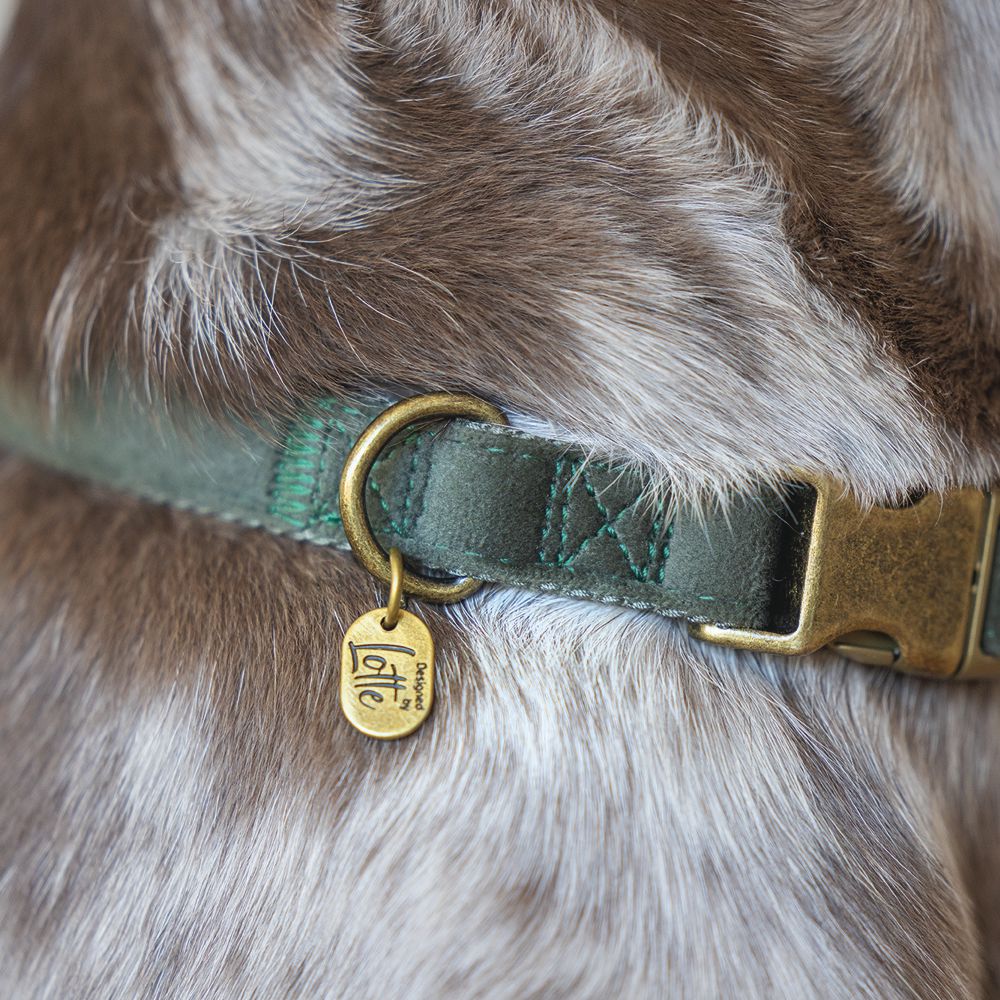 Designed by Lotte Halsband VELURA - XS/S/M/L - grau/grün/rosa - Hundehalsband