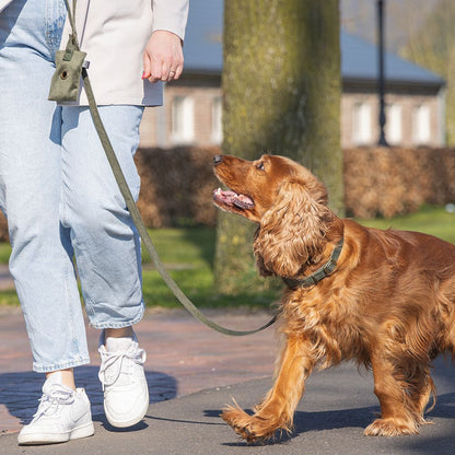 Designed by Lotte Halsband VELURA - XS/S/M/L - grau/grün/rosa - Hundehalsband