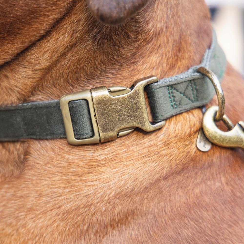 Designed by Lotte Halsband VELURA - XS/S/M/L - grau/grün/rosa - Hundehalsband