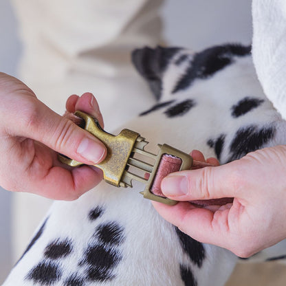 Designed by Lotte Halsband VELURA - XS/S/M/L - grau/grün/rosa - Hundehalsband