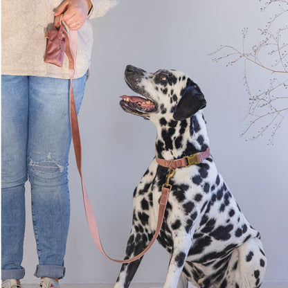 Designed by Lotte Halsband VELURA - XS/S/M/L - grau/grün/rosa - Hundehalsband