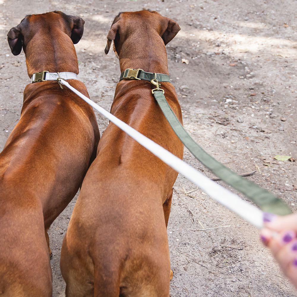 Designed by Lotte Leine VELURA 120 cm - XS/S/M/L - Samt Hundeleine Welpenleine