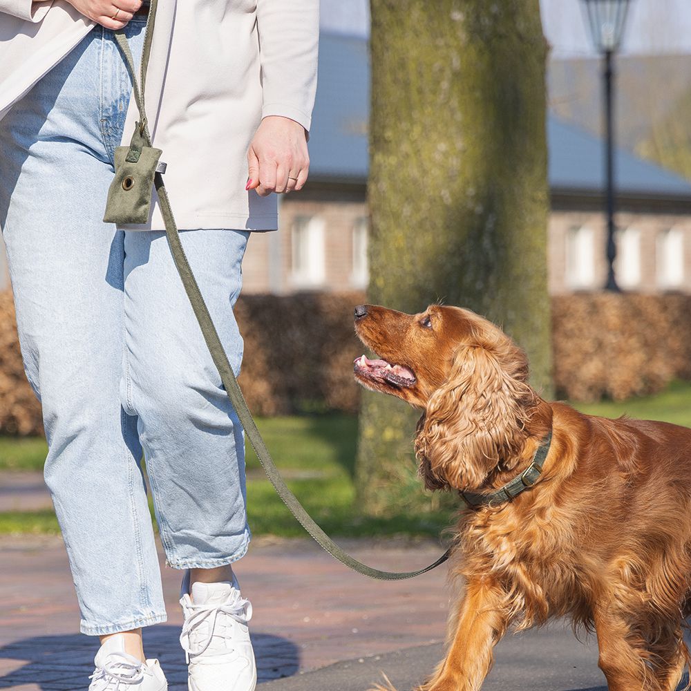 Designed by Lotte Leine VELURA 120 cm - XS/S/M/L - Samt Hundeleine Welpenleine