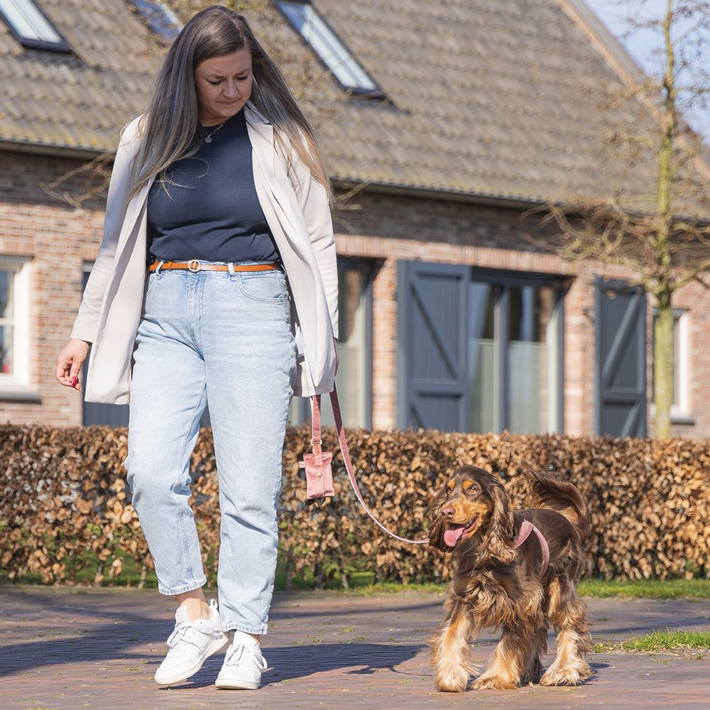 Designed by Lotte Leine VELURA 120 cm - XS/S/M/L - Samt Hundeleine Welpenleine