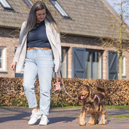 Designed by Lotte Leine VELURA 120 cm - XS/S/M/L - Samt Hundeleine Welpenleine