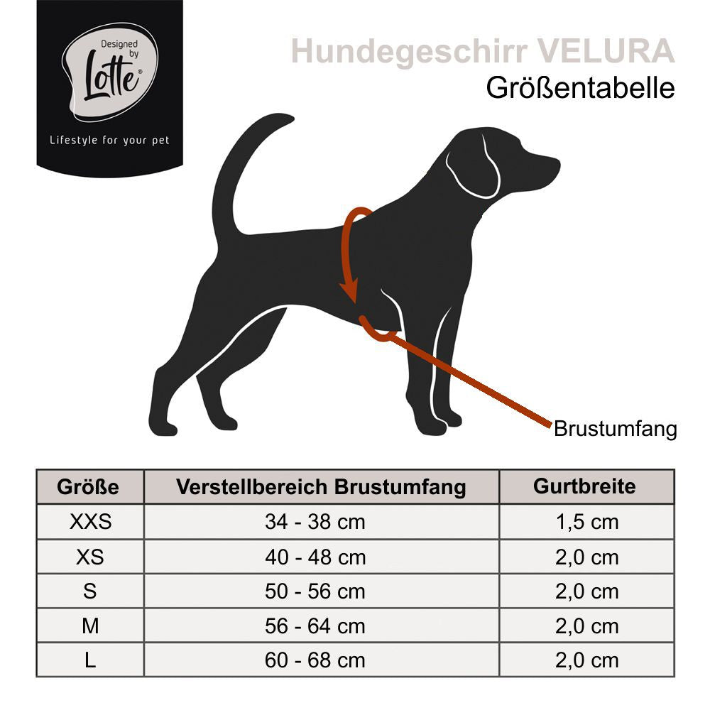 Designed by Lotte Geschirr VELURA - XXS/XS/S/M/L - Hundegeschirr Brustgeschirr