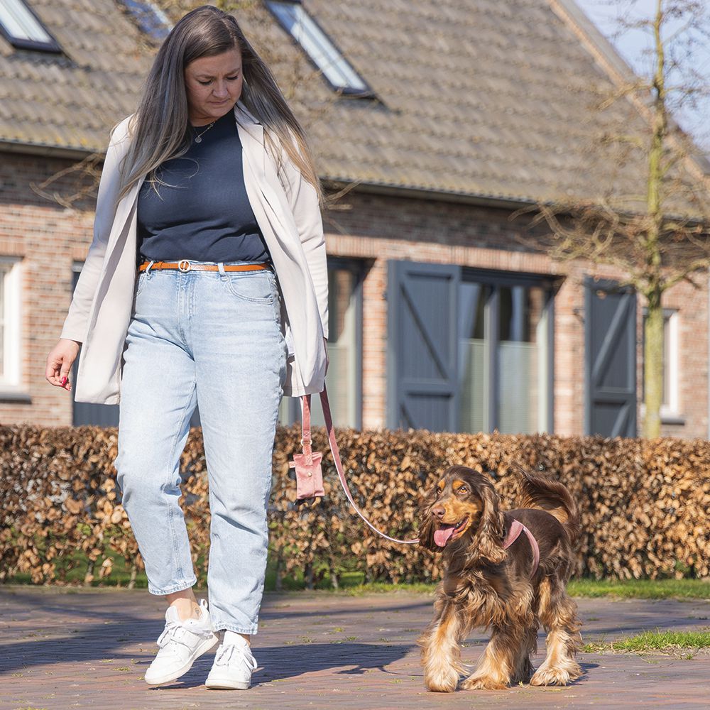 Designed by Lotte Geschirr VELURA - XXS/XS/S/M/L - Hundegeschirr Brustgeschirr