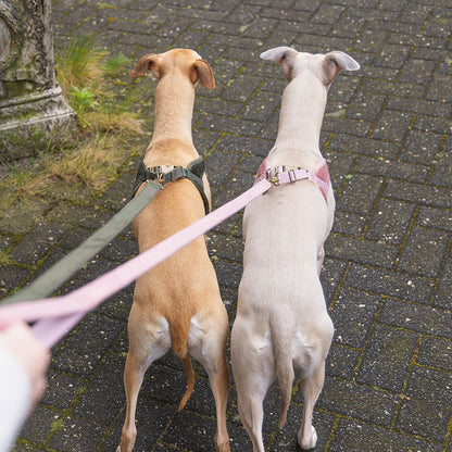 Designed by Lotte Geschirr VELURA - XXS/XS/S/M/L - Hundegeschirr Brustgeschirr