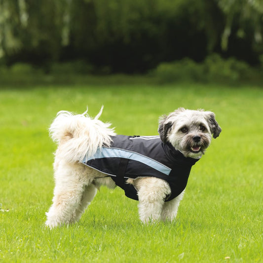 Beeztees Hundemantel SABY - schwarz/hellblau - Hundejacke Hundepullover Regenmantel
