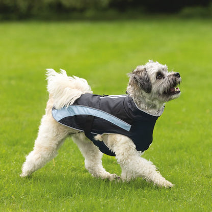 Beeztees Hundemantel SABY - schwarz/hellblau - Hundejacke Hundepullover Regenmantel