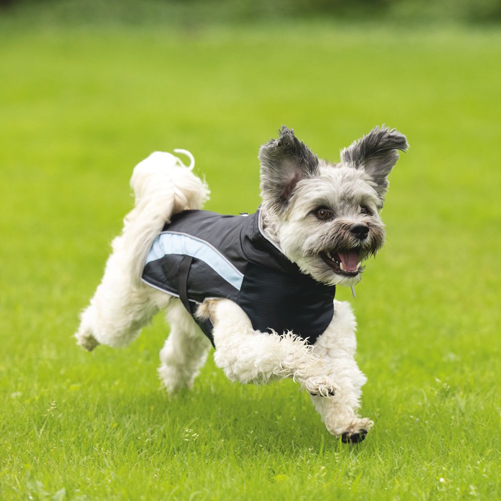 Beeztees Hundemantel SABY - schwarz/hellblau - Hundejacke Hundepullover Regenmantel
