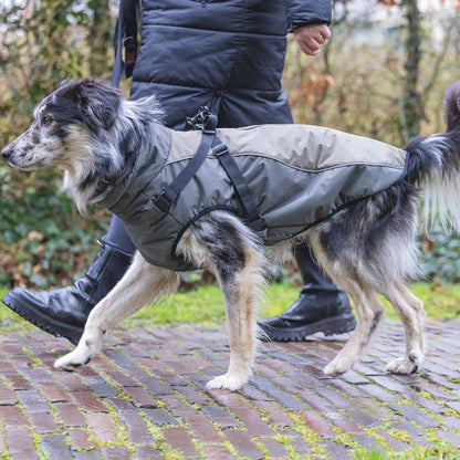 Beeztees Hundemantel MILO - grau - mit Geschirr - Hundejacke Regenmantel