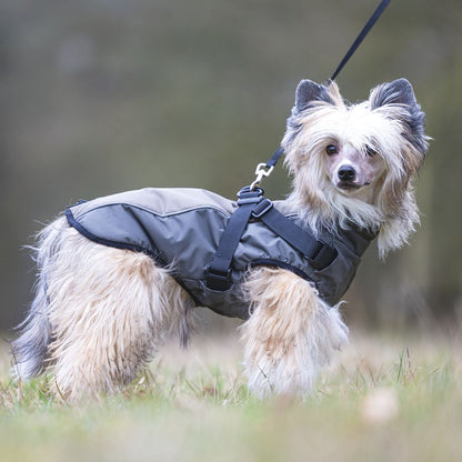 Beeztees Hundemantel MILO - grau - mit Geschirr - Hundejacke Regenmantel