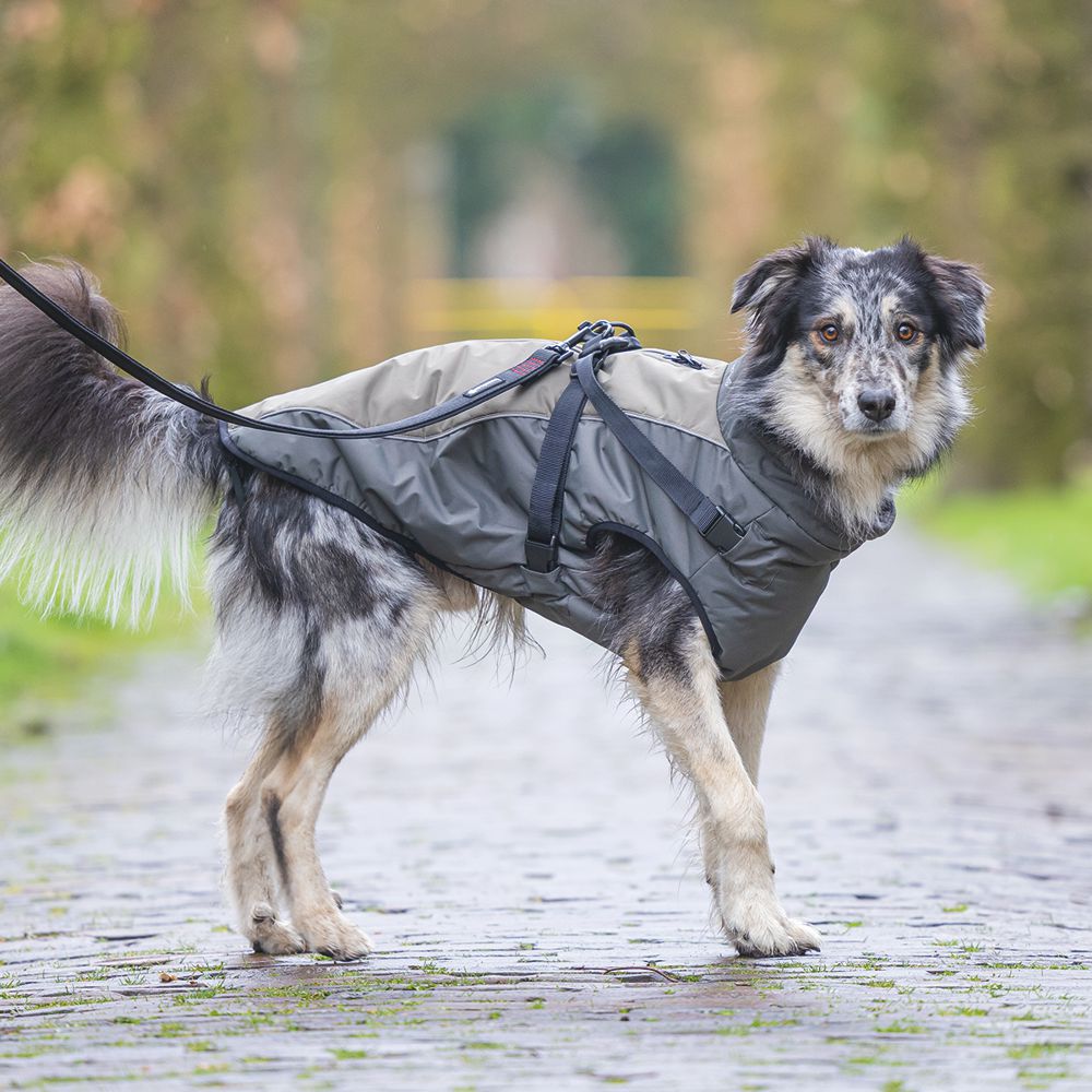 Beeztees Hundemantel MILO - grau - mit Geschirr - Hundejacke Regenmantel