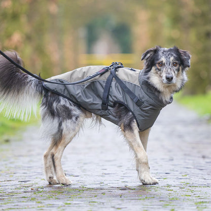 Beeztees Hundemantel MILO - grau - mit Geschirr - Hundejacke Regenmantel