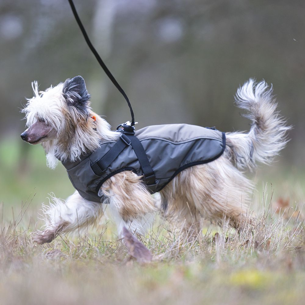 Beeztees Hundemantel MILO - grau - mit Geschirr - Hundejacke Regenmantel