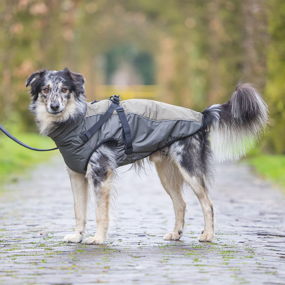 Beeztees Hundemantel MILO - grau - mit Geschirr - Hundejacke Regenmantel