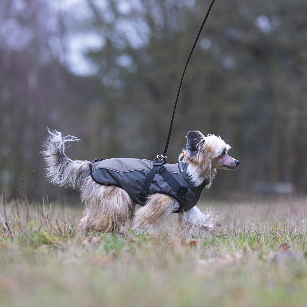 Beeztees Hundemantel MILO - grau - mit Geschirr - Hundejacke Regenmantel