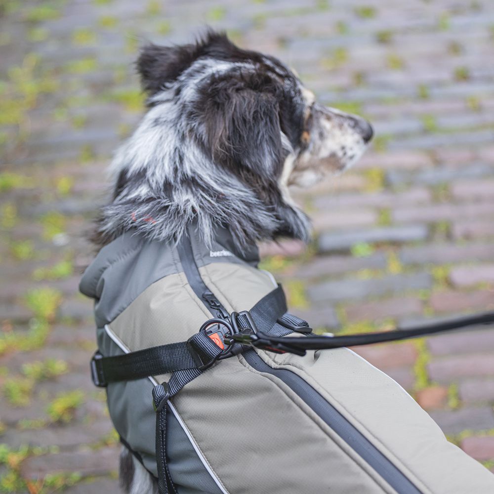 Beeztees Hundemantel MILO - grau - mit Geschirr - Hundejacke Regenmantel