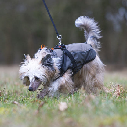 Beeztees Hundemantel MILO - grau - mit Geschirr - Hundejacke Regenmantel