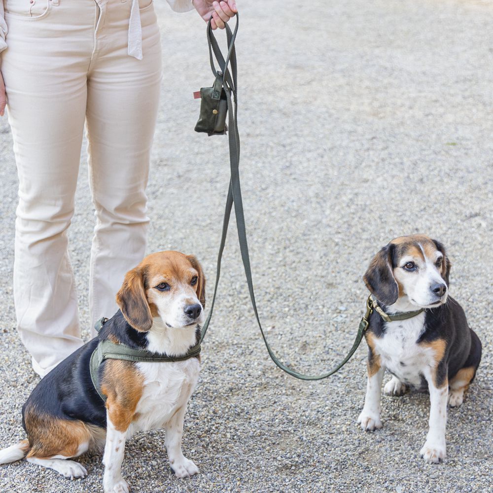 Designed by Lotte Kotbeutelspender CAJA - Kotbeutel Tasche inkl. Kottüten - Hund