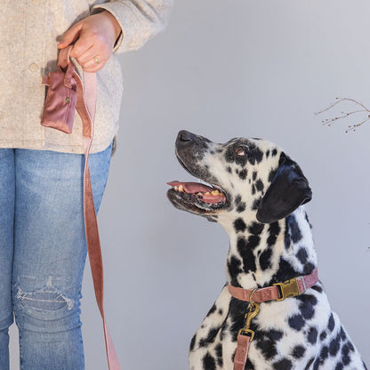 Designed by Lotte Kotbeutelspender CAJA - Kotbeutel Tasche inkl. Kottüten - Hund
