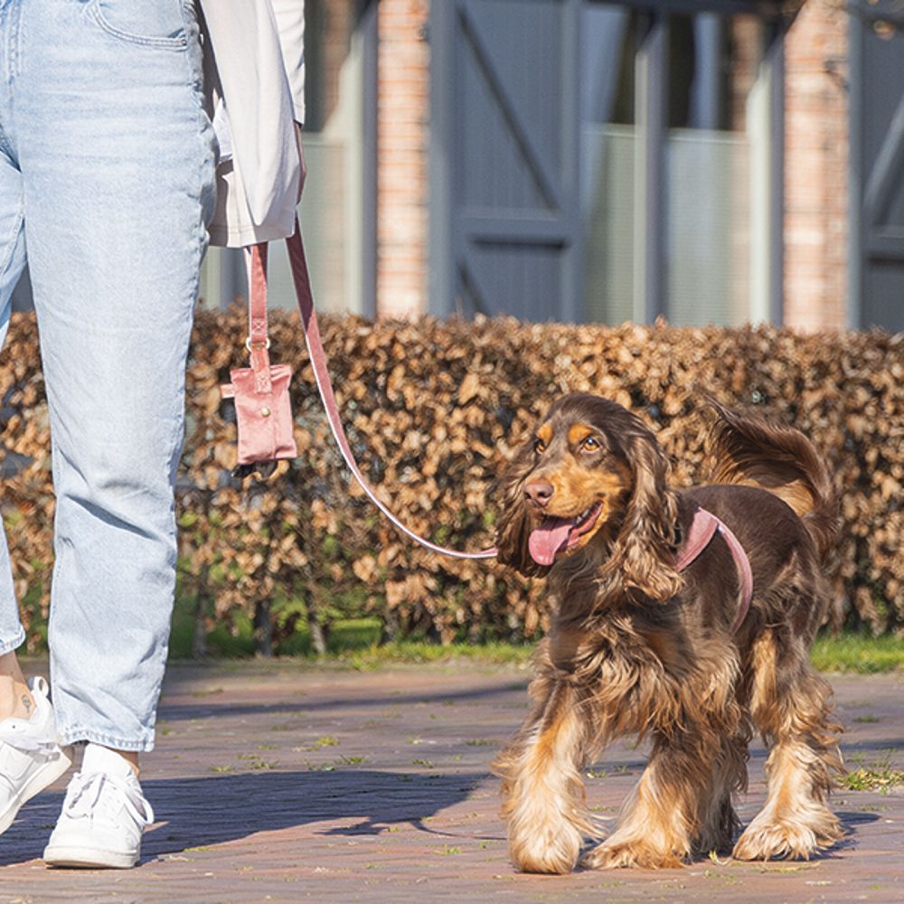 Designed by Lotte Kotbeutelspender CAJA - Kotbeutel Tasche inkl. Kottüten - Hund