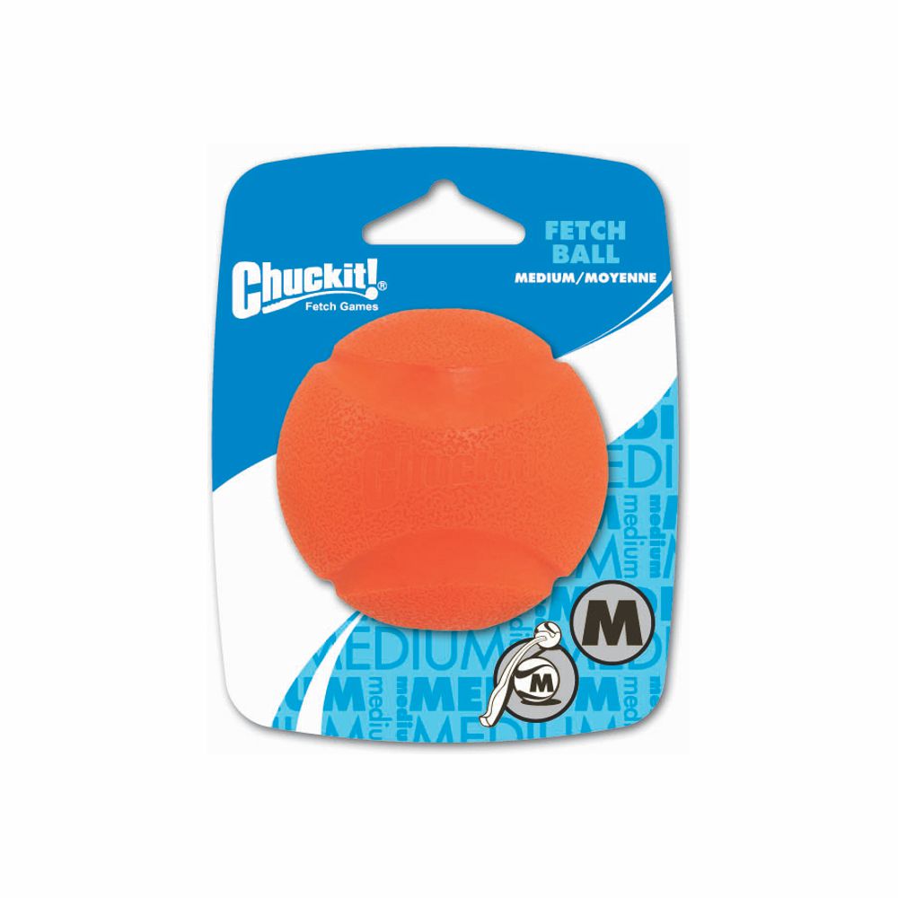 Chuckit! Fetch Ball - Apportierspielzeug Hundespielzeug sehr robust springt gut
