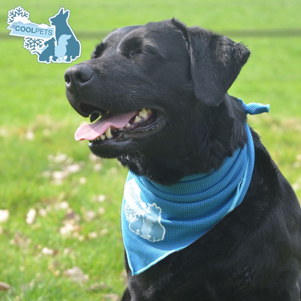 CoolPets Bandana Kühltuch - 3 Größen - Kühl-Halstuch - kühlendes Tuch für Hunde