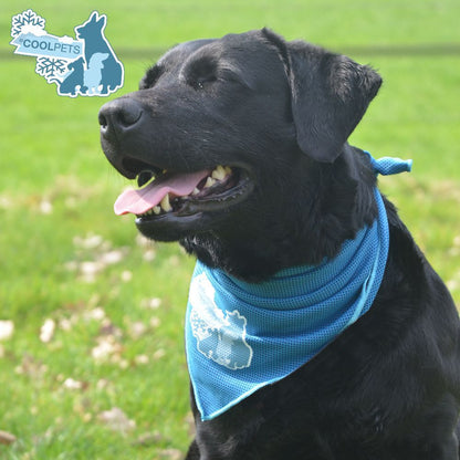 CoolPets Bandana Kühltuch - 3 Größen - Kühl-Halstuch - kühlendes Tuch für Hunde