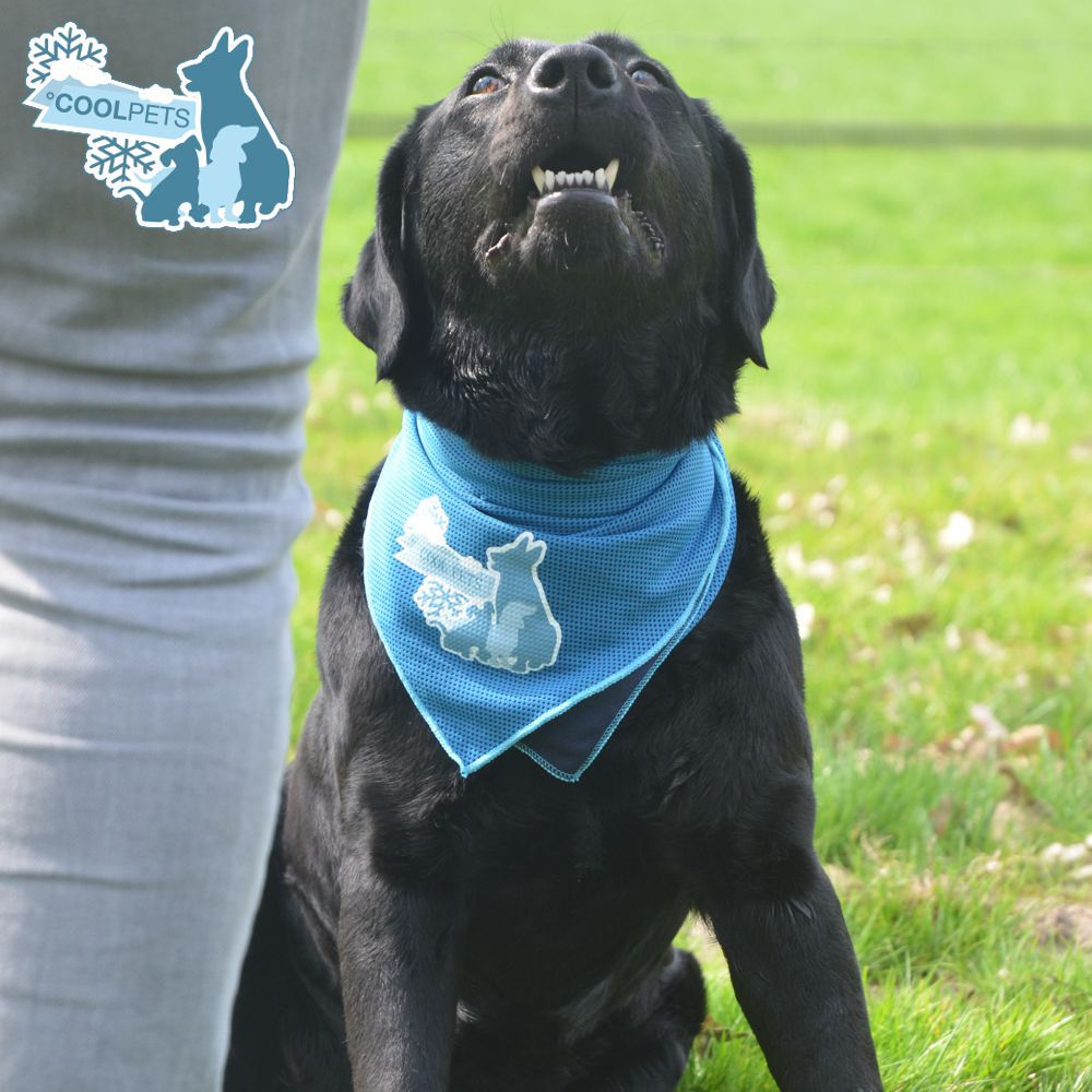CoolPets Bandana Kühltuch - 3 Größen - Kühl-Halstuch - kühlendes Tuch für Hunde