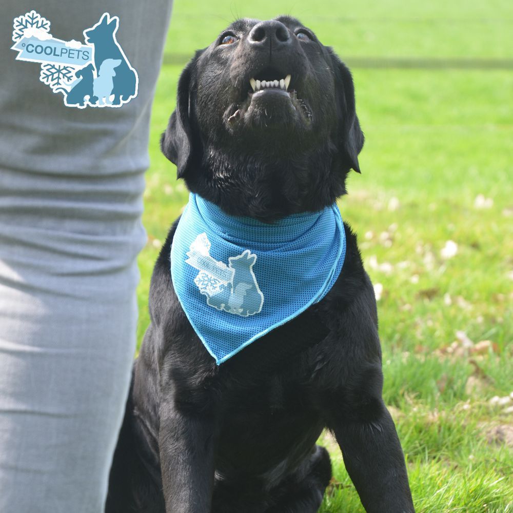 CoolPets Bandana Kühltuch - 3 Größen - Kühl-Halstuch - kühlendes Tuch für Hunde