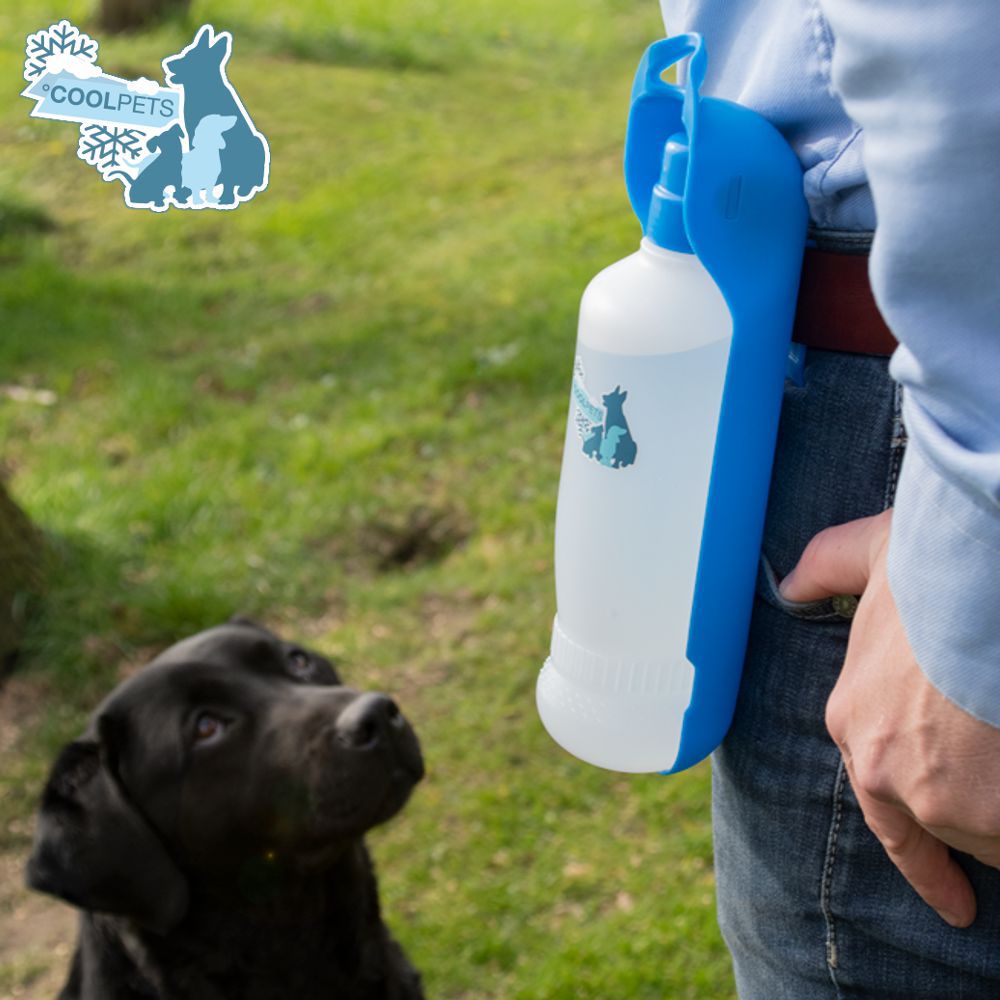 CoolPets Fresh 2GO Trinkflasche - Trinkwasserflasche Wassernapf Reisenapf