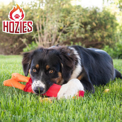 Hozies Apportierspielzeug  - Feuerwehrschlauch extra stark schwimmt mit Squeaker