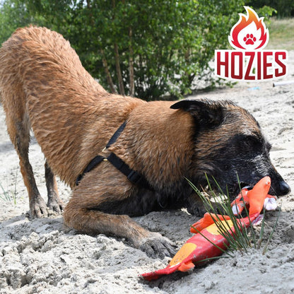 Hozies Apportierspielzeug  - Feuerwehrschlauch extra stark schwimmt mit Squeaker