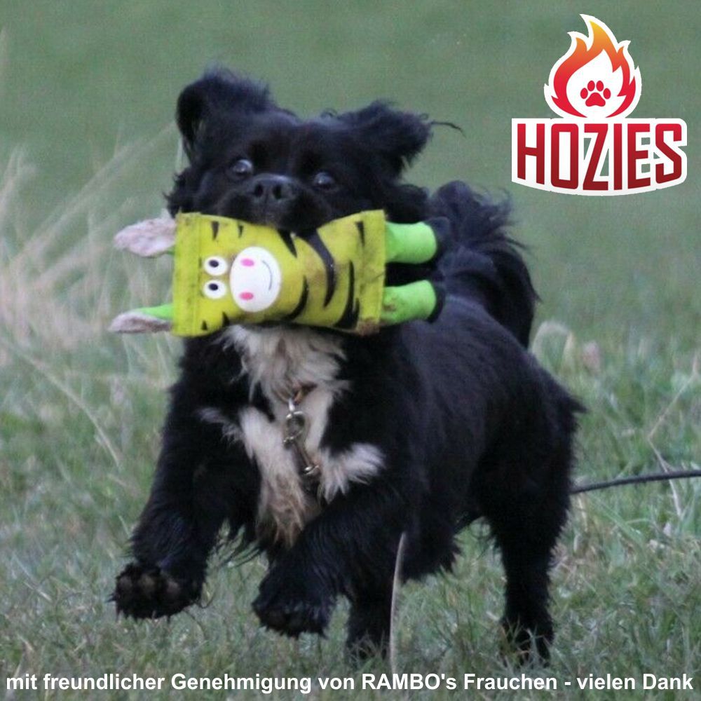 Hozies Apportierspielzeug  - Feuerwehrschlauch extra stark schwimmt mit Squeaker