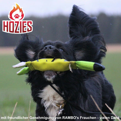 Hozies Apportierspielzeug  - Feuerwehrschlauch extra stark schwimmt mit Squeaker