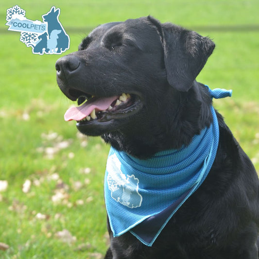 CoolPets Bandana Kühltuch - 3 Größen - Kühl-Halstuch - kühlendes Tuch für Hunde