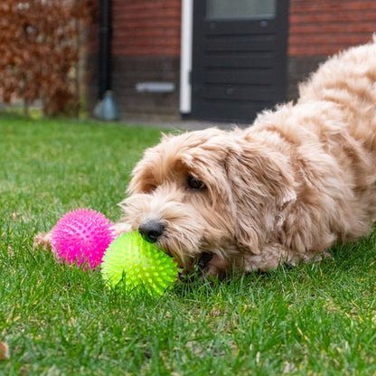 Dog Comets EXOPLANET Igelball - Apportierspielzeug - Wasserspielzeug - Squeaker