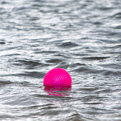 Dog Comets EXOPLANET Igelball - Apportierspielzeug - Wasserspielzeug - Squeaker