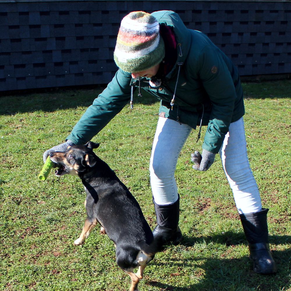 Dog Comets INVADERS - Latex - M/L - Apportierspielzeug - Stick - quietscht