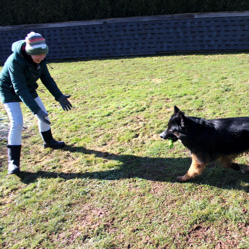 Dog Comets INVADERS - Latex - M/L - Apportierspielzeug - Stick - quietscht