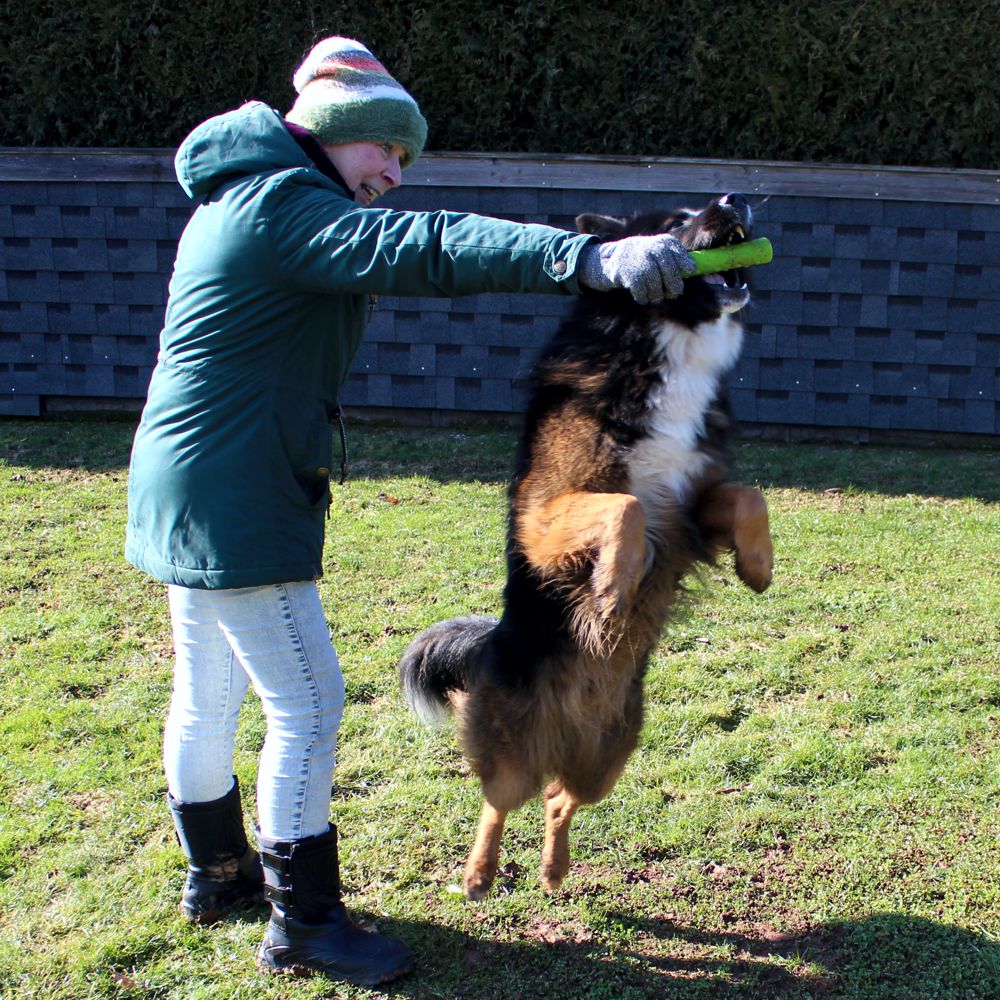 Dog Comets INVADERS - Latex - M/L - Apportierspielzeug - Stick - quietscht