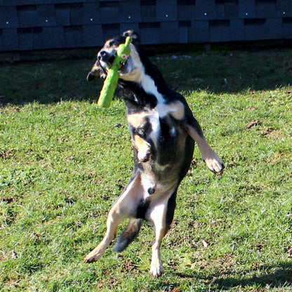 Dog Comets INVADERS - Latex - M/L - Apportierspielzeug - Stick - quietscht