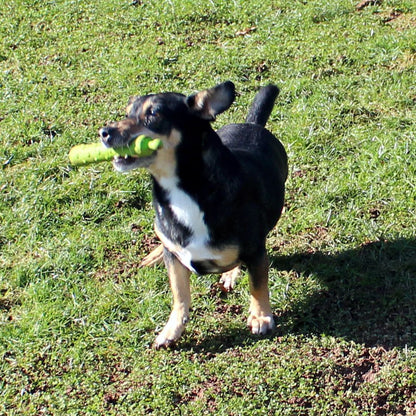 Dog Comets INVADERS - Latex - M/L - Apportierspielzeug - Stick - quietscht