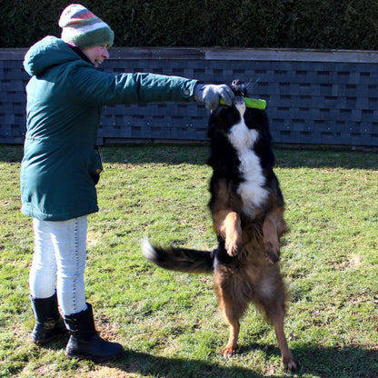 Dog Comets INVADERS - Latex - M/L - Apportierspielzeug - Stick - quietscht